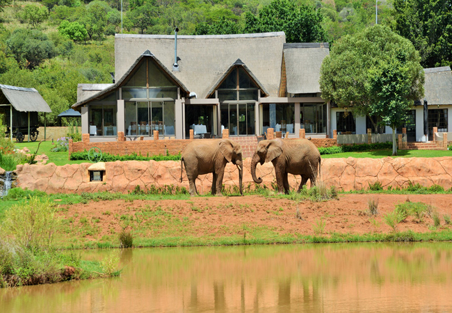 Doornhoek Hotels at African Hills Safari Lodge